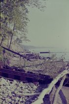 View north along the beach